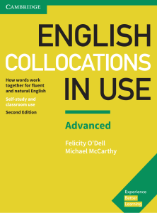 Rich Results on Google's SERP when searching for 'English Collocations in Use Advanced'