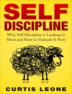 Rich Results on Google's SERP when searching for 'Self Discipline Mindset'